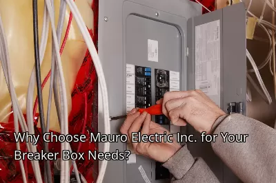 Why Choose Mauro Electric Inc. for Your Breaker Box Needs?