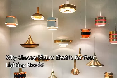 Why Choose Mauro Electric for Your Lighting Needs? Why Choose Mauro Electric for Your Lighting Needs?
