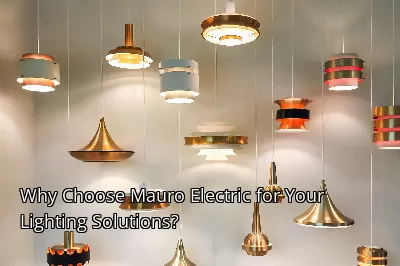Why Choose Mauro Electric for Your Lighting Solutions? Why Choose Mauro Electric for Your Lighting Solutions?