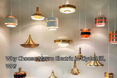 Why Choose Mauro Electric in Clyde Hill, WA? Why Choose Mauro Electric in Clyde Hill, WA?
