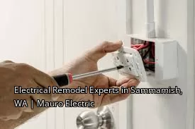 Electrical Remodel Experts in Sammamish, WA | Mauro Electric Electrical Remodel Experts in Sammamish, WA | Mauro Electric